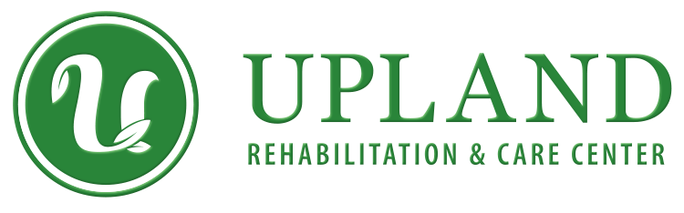 Dextrostat Rehab FacilityLakota IA